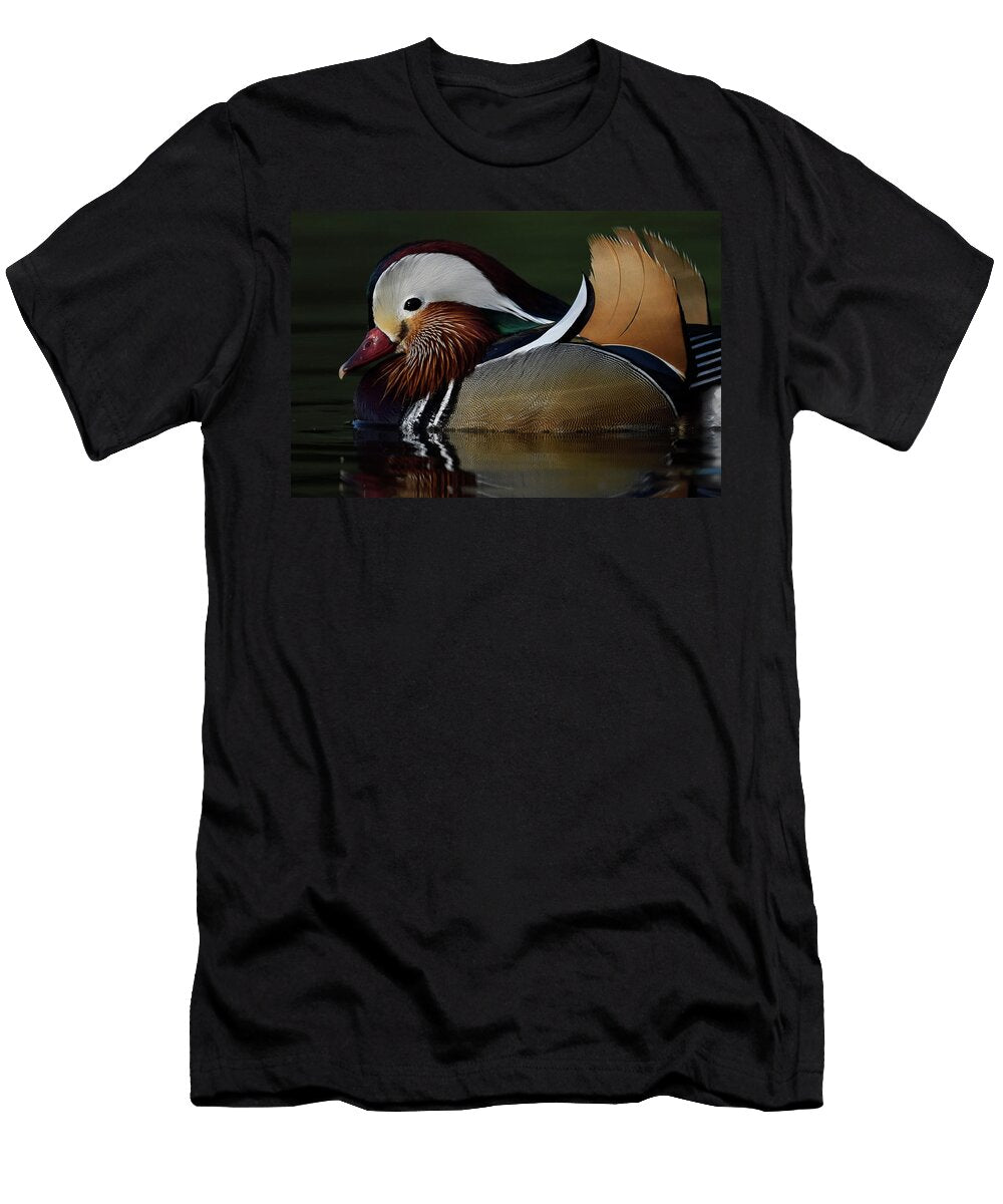 2 Mandarin Duck Male Swimming on Water in the Beijing Area Staffan Widstrand Wild Wonders of China Natureplcom T-Shirt