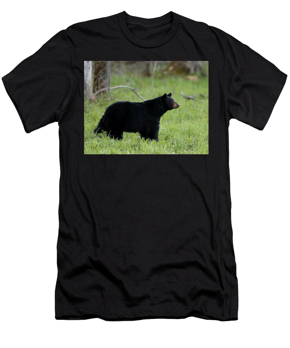 3 Black Bear Jacob Dingel T-Shirt
