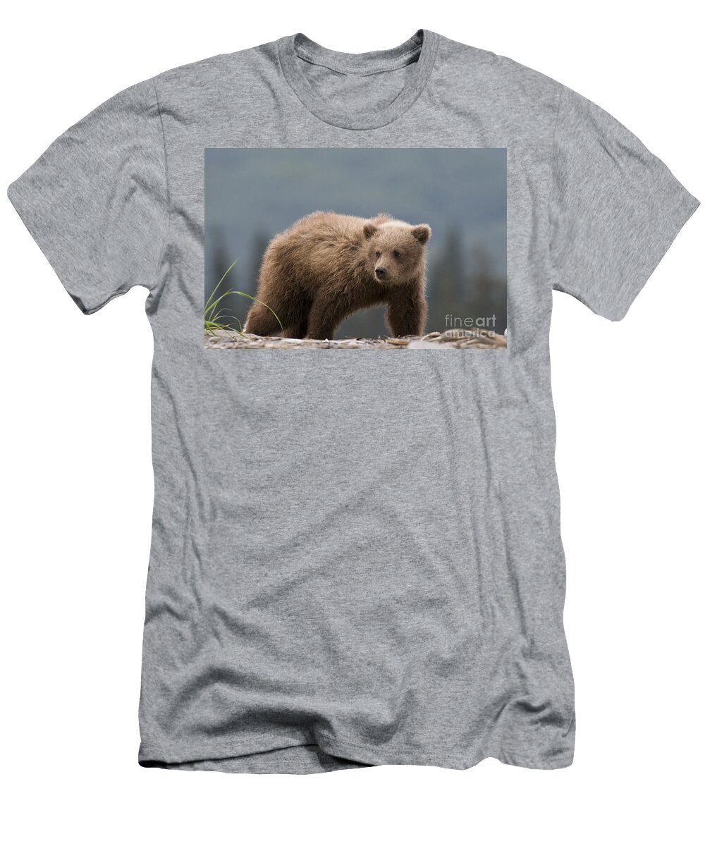 3 Brown Bear Cub William H Mullins T-Shirt