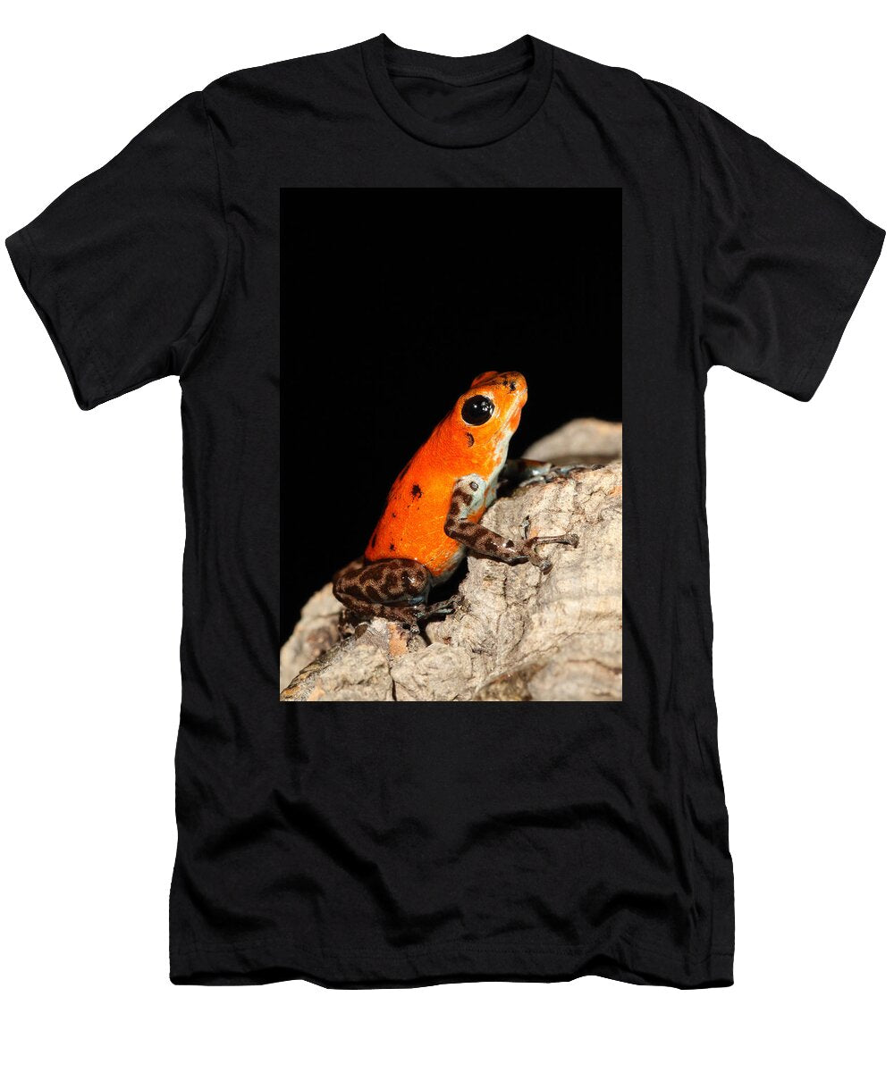 3 Poison Dart Frog Oophaga Pumilio David Kenny T-Shirt