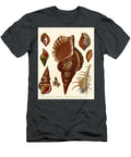 8 Encyclopaedia Londinensis Conchology Pl John Chapman English Active T-Shirt