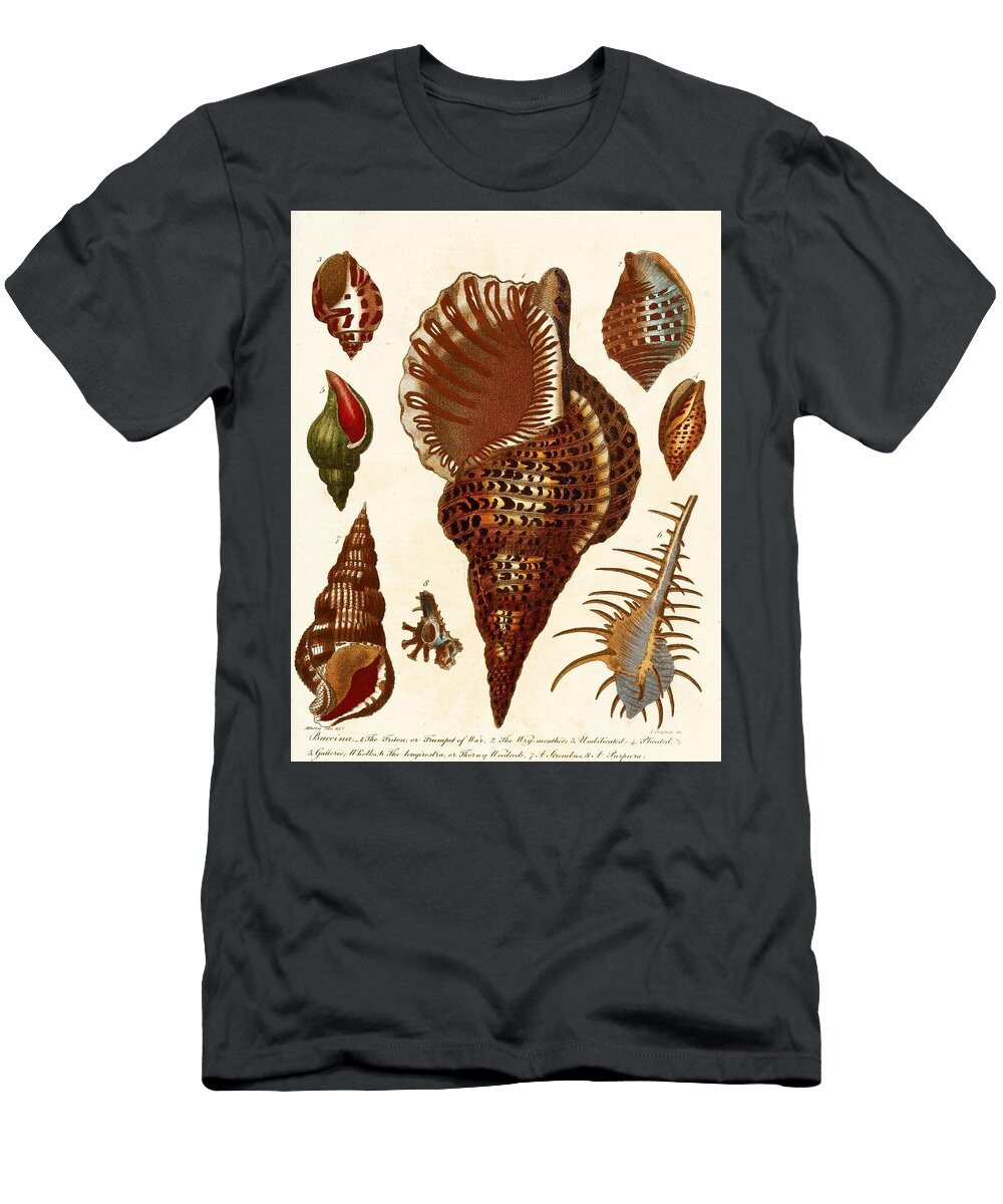 8 Encyclopaedia Londinensis Conchology Pl John Chapman English Active T-Shirt