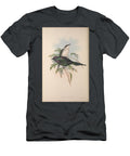 A 189274 Shining Aplonis Aplonis Metallica John Gould T-Shirt