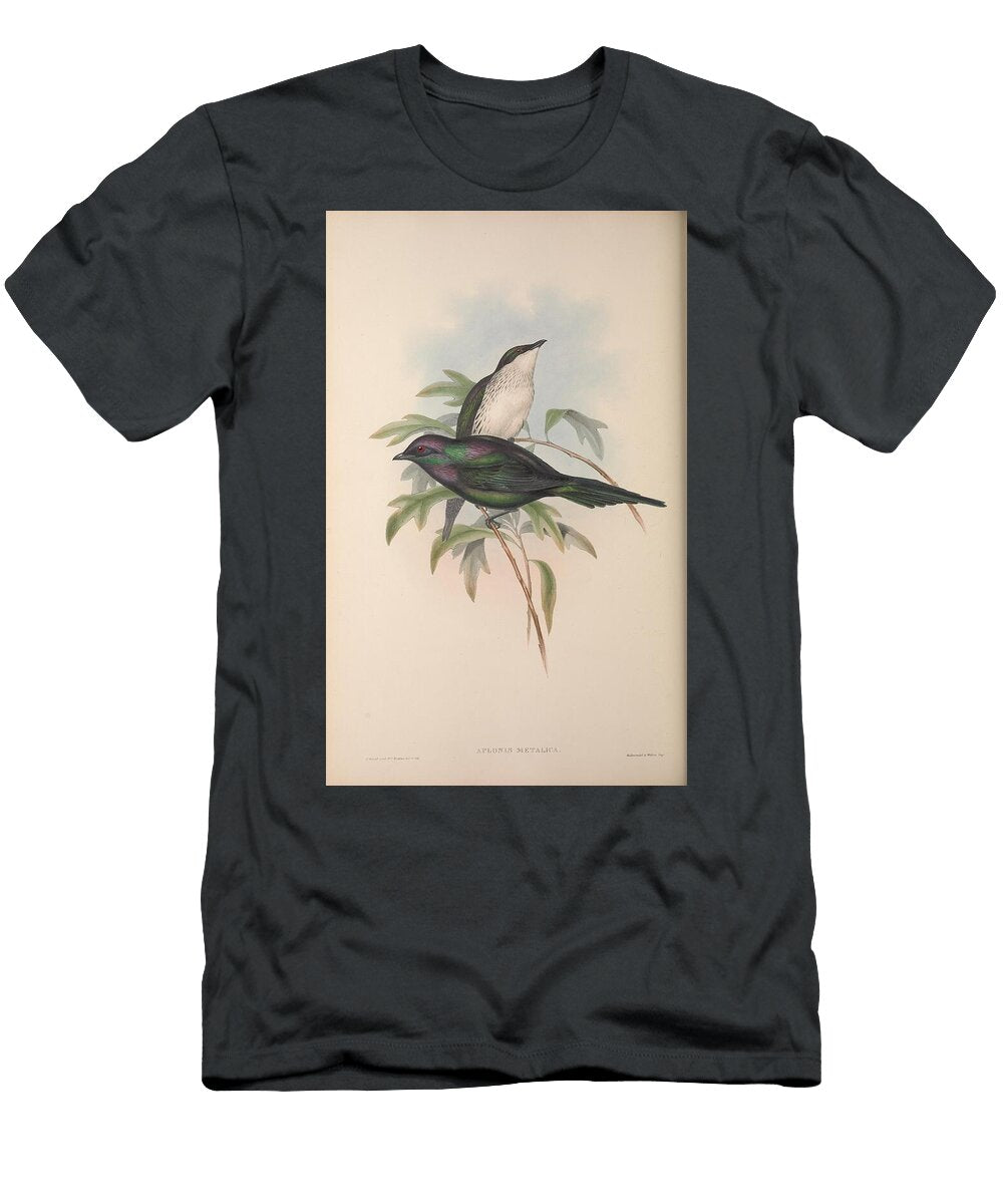 A 189274 Shining Aplonis Aplonis Metallica John Gould T-Shirt