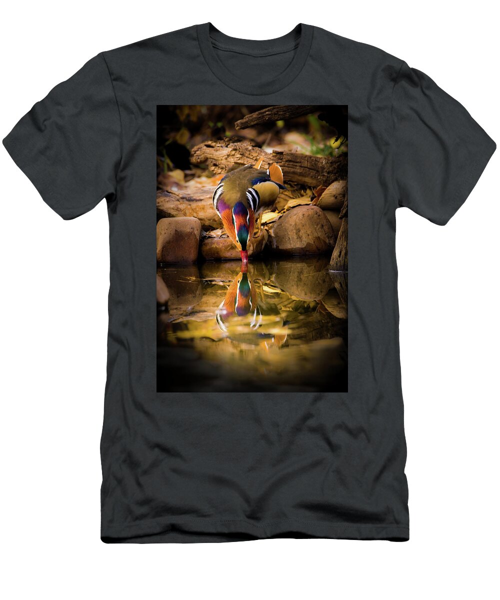 A Cold Drink Mandarin Drake Tl Mair T-Shirt