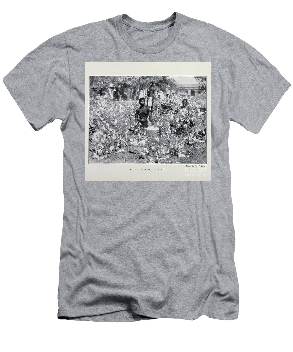 A Cotton Plantation in Natal I Historic Illustrations T-Shirt