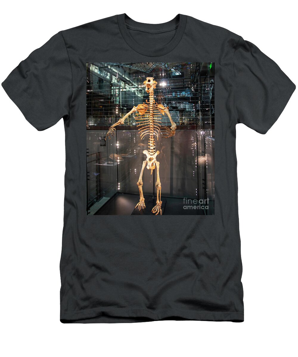 A Detailed View of a Human Skeleton Display in a Museum During D David Wood T-Shirt