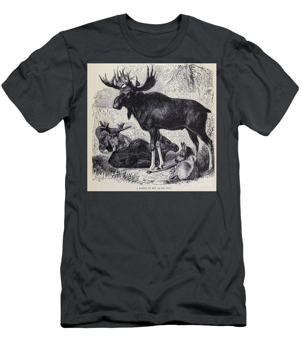 A Family of Elk Moose M3 Historic Illustrations T-Shirt