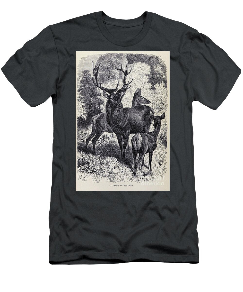 A Family of Red Deer M1 Historic Illustrations T-Shirt
