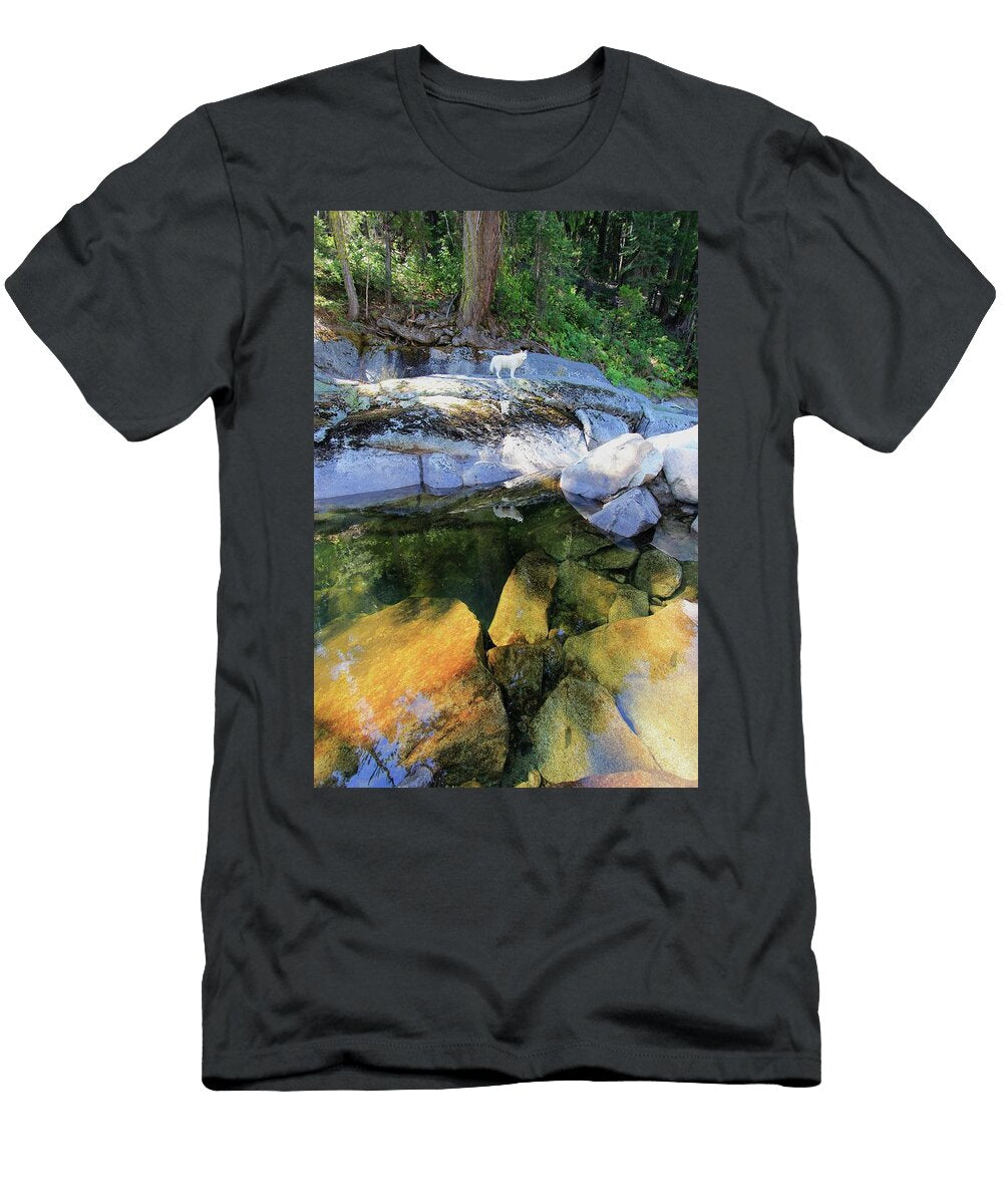 A Portrait of Depth Sean Sarsfield T-Shirt