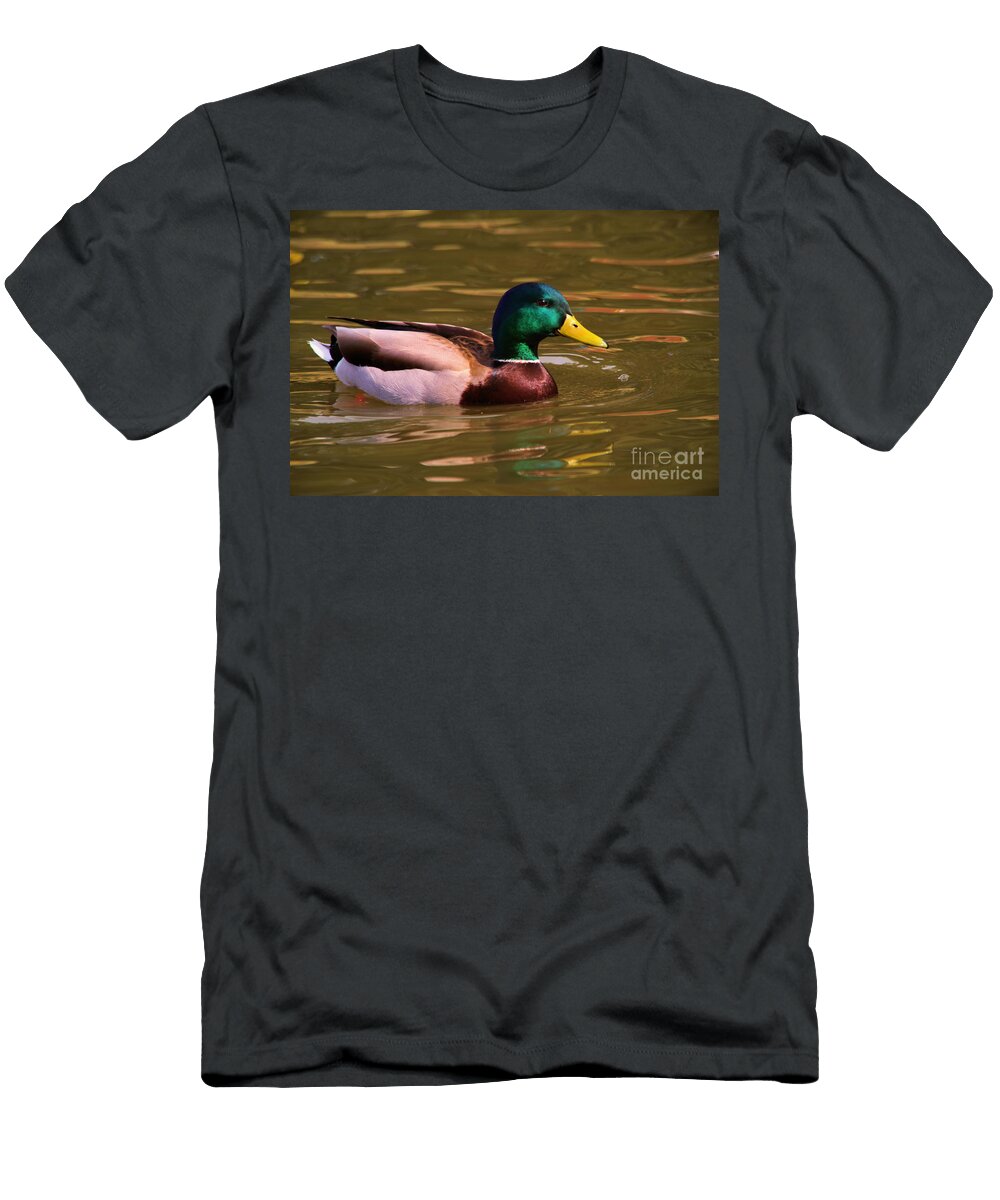A Sole Mallard Drake Jeff Swan T-Shirt