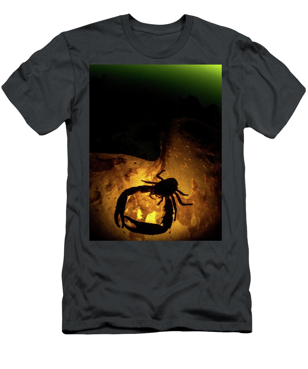 A Squat Lobster Galathea Strigosa Mark Kirkland T-Shirt