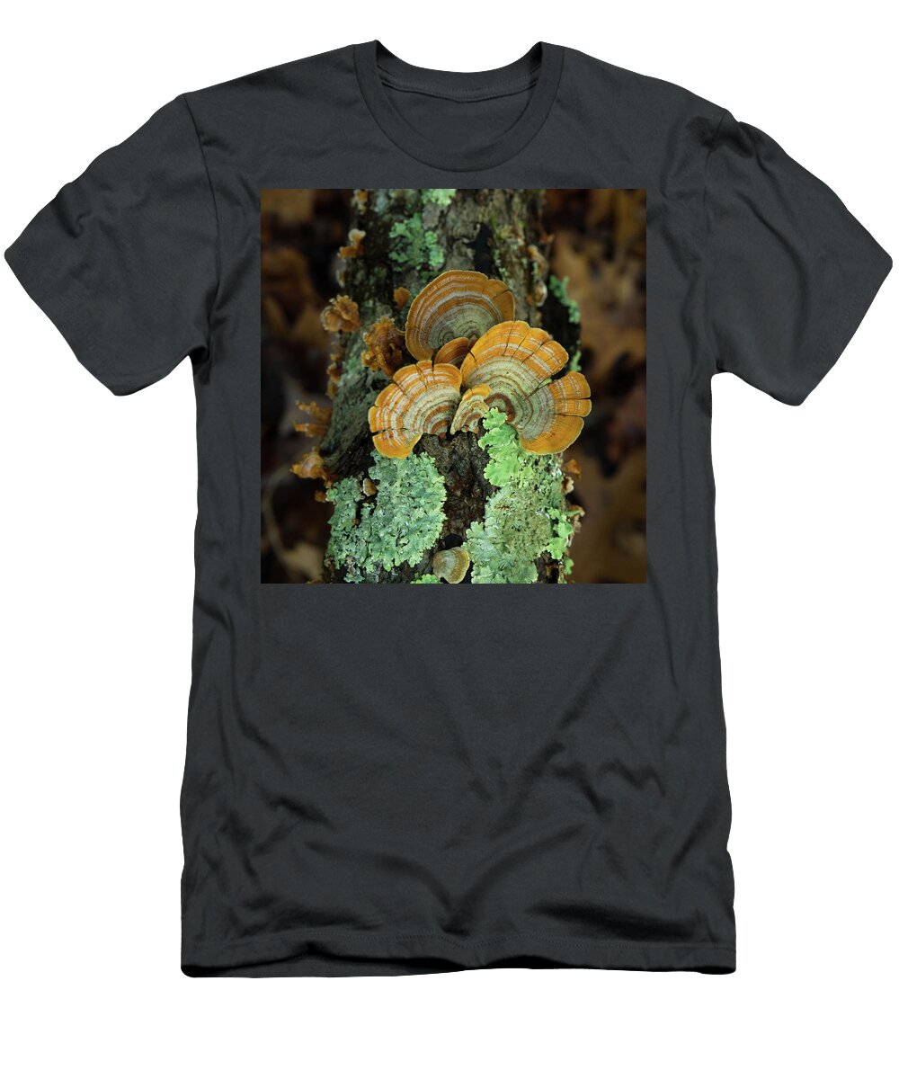 A Trio of Turkeytail Douglas Barnett T-Shirt