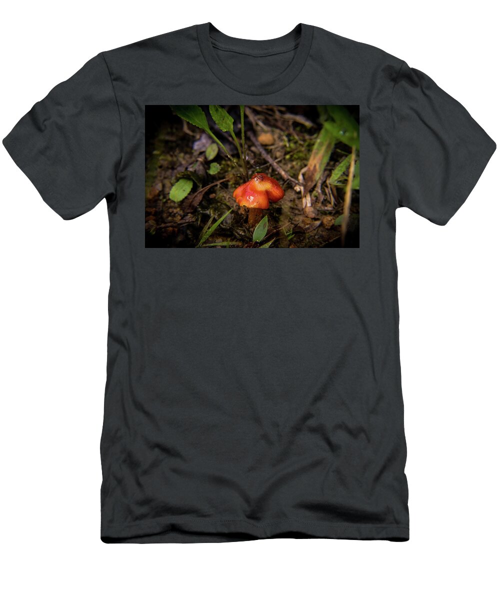 A Waxy Cap Species of the Hygrophoraceae Douglas Barnett T-Shirt