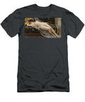 Abandoned Guillaume Seignac T-Shirt