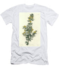 Adesmia De Loudon Native of Tasmania Australia Water of S Sydenham Teast Edwards T-Shirt