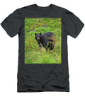 After the Rain Black Bear Timothy Flanigan T-Shirt