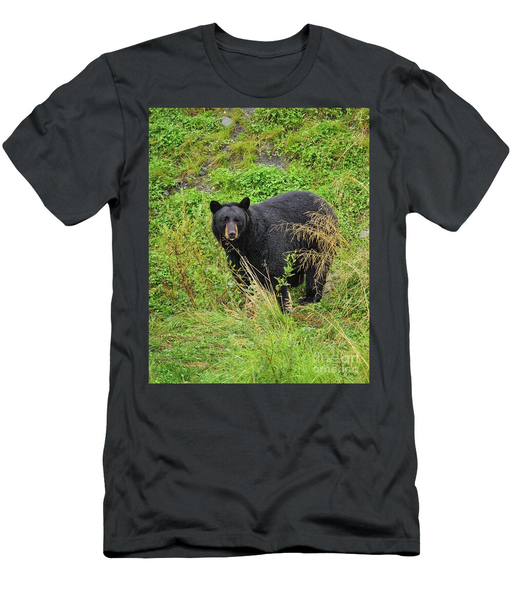 After the Rain Black Bear Timothy Flanigan T-Shirt
