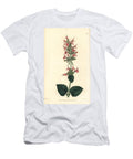Agastache Pale Giant Hyssop Agastache Pallida Pale Cedronel Cedronella Pallida European School T-Shirt