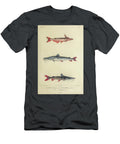 Ageniosus and Platystoma Catfish B1 Historic Illustrations T-Shirt