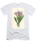 Alaska Iris Bristle Tipped Iris or Beachhead Iris Iris Setosa European School T-Shirt