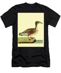 Albins Bird Illustration Depicting a Long Billed Waterbird Au4 Eleazar Albin T-Shirt