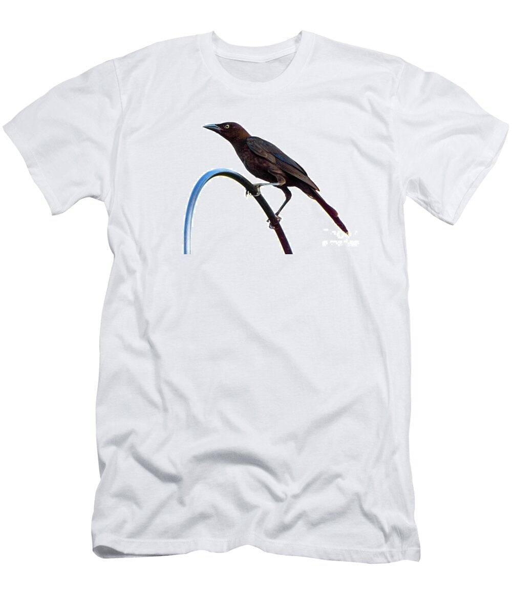 All Your Life Blackbird David Rucker T-Shirt