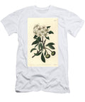 Almond Leaved Pear Almond Leaved Pear Pyrus Amygdaliformis Snow Pear Pyrus Nivalis Sydenham Teast Edwards T-Shirt