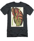 Alocasia Metallica Charles Antoine Lemaire T-Shirt