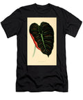 Alocasia Metallica the Botanist T-Shirt