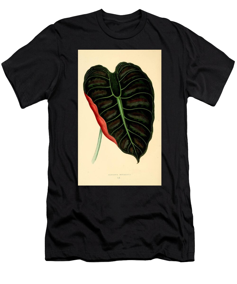 Alocasia Metallica the Botanist T-Shirt
