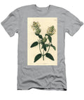 Alpine Scutellaria Alpine Skullcap Scutellaria Alpina Alpine Scutellaria Hop Flowered Variety Scutellaria Alpina Var Sydenham Teast Edwards T-Shirt