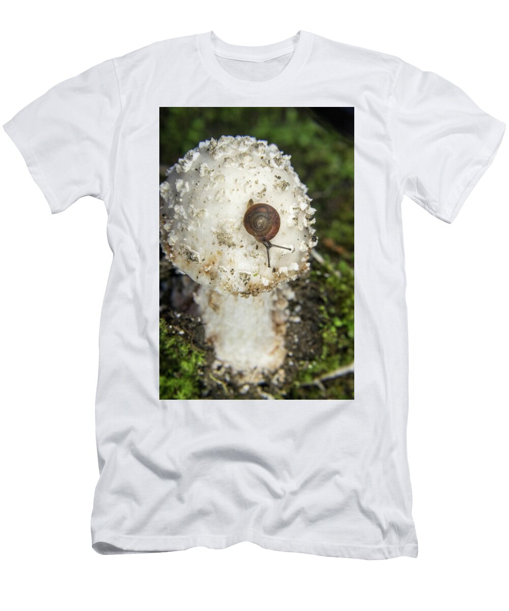 Amanita with Snail Feeding Douglas Barnett T-Shirt