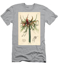 Amaryllis Cybister Hippeastrum Cybister Short Flowered Tumbler Sprekelia Sprekelia Cybister Var European School T-Shirt