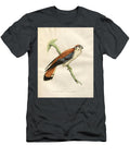 American Kestrel Hand Painted O1 Historic Illustrations T-Shirt