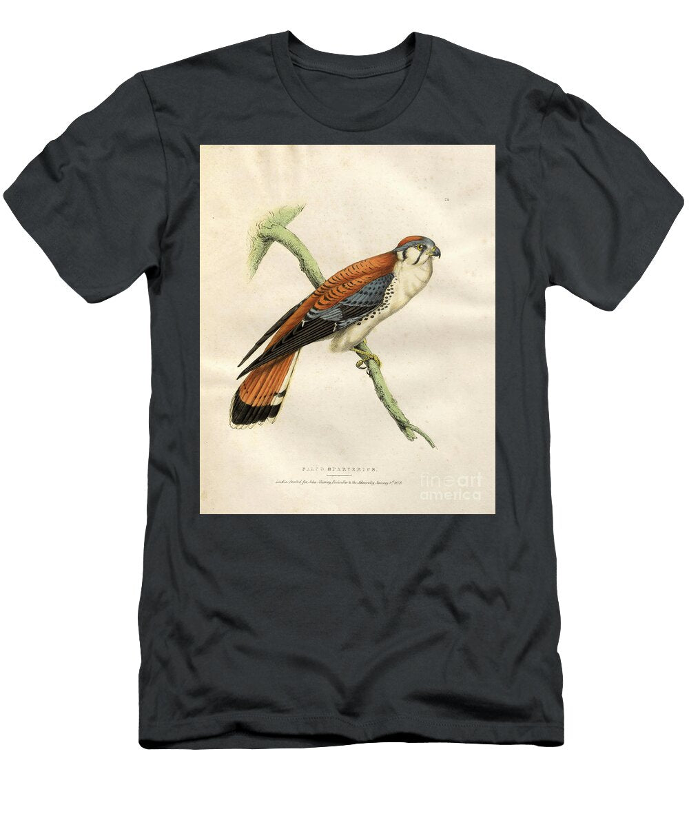 American Kestrel Hand Painted O1 Historic Illustrations T-Shirt