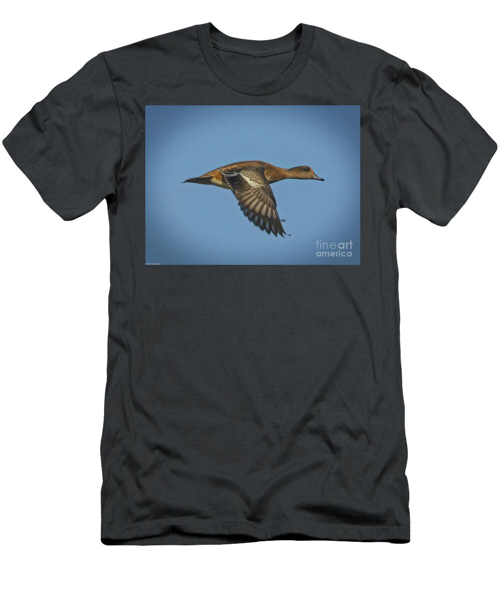 American Wigeon Hen in Flight Mitch Shindelbower T-Shirt