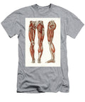 An Antique Illustration of the Muscles of the Legs and Feet Carl Ernst Bock T-Shirt