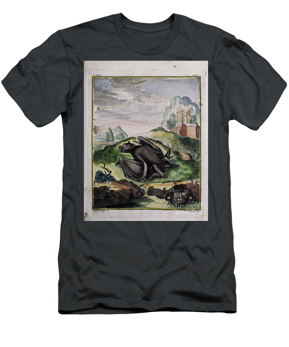 Ancient Painted Plate Bat O1 Historic Illustrations T-Shirt