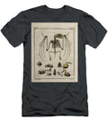 Ancient Painted Plate Bat O2 Historic Illustrations T-Shirt