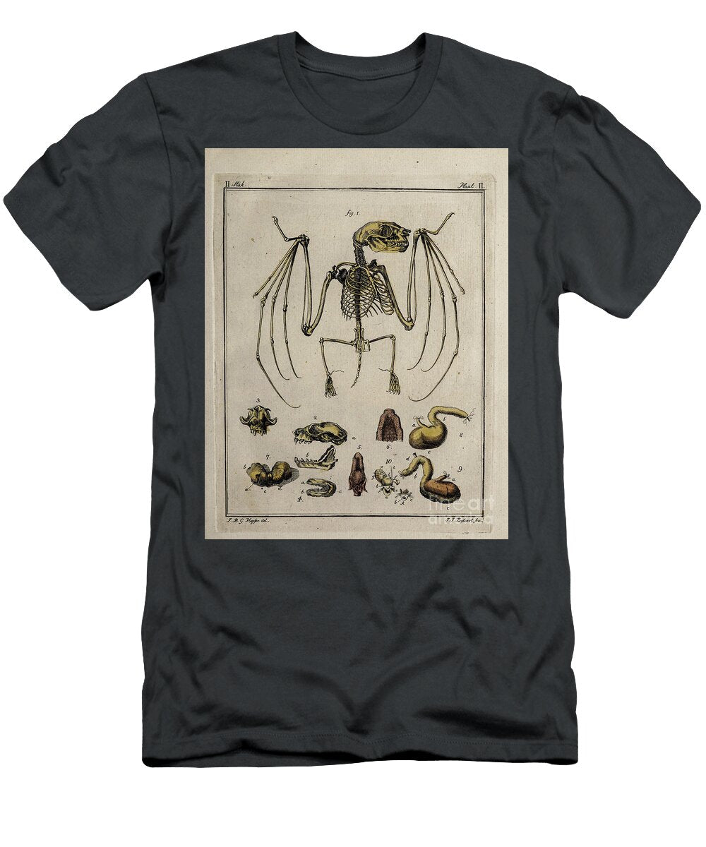 Ancient Painted Plate Bat O2 Historic Illustrations T-Shirt