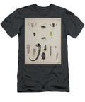 Ancient Painted Plate Beetles O1 Historic Illustrations T-Shirt