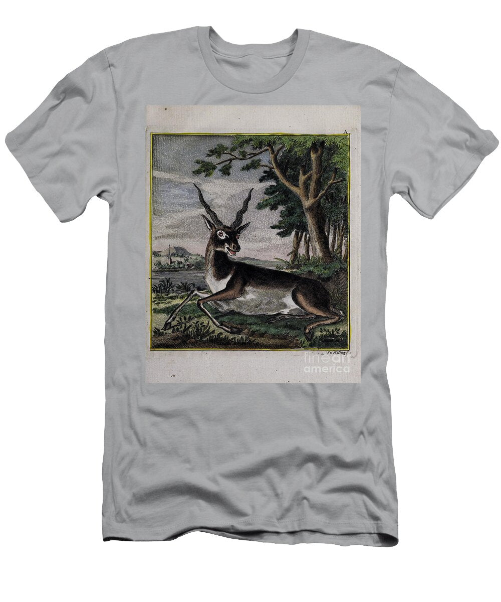Ancient Painted Plate Deer O1 Historic Illustrations T-Shirt