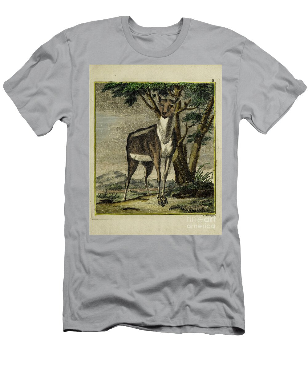 Ancient Painted Plate Doe O1 Historic Illustrations T-Shirt