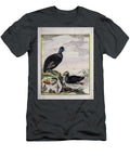 Ancient Painted Plate Water Fowl O1 Historic Illustrations T-Shirt