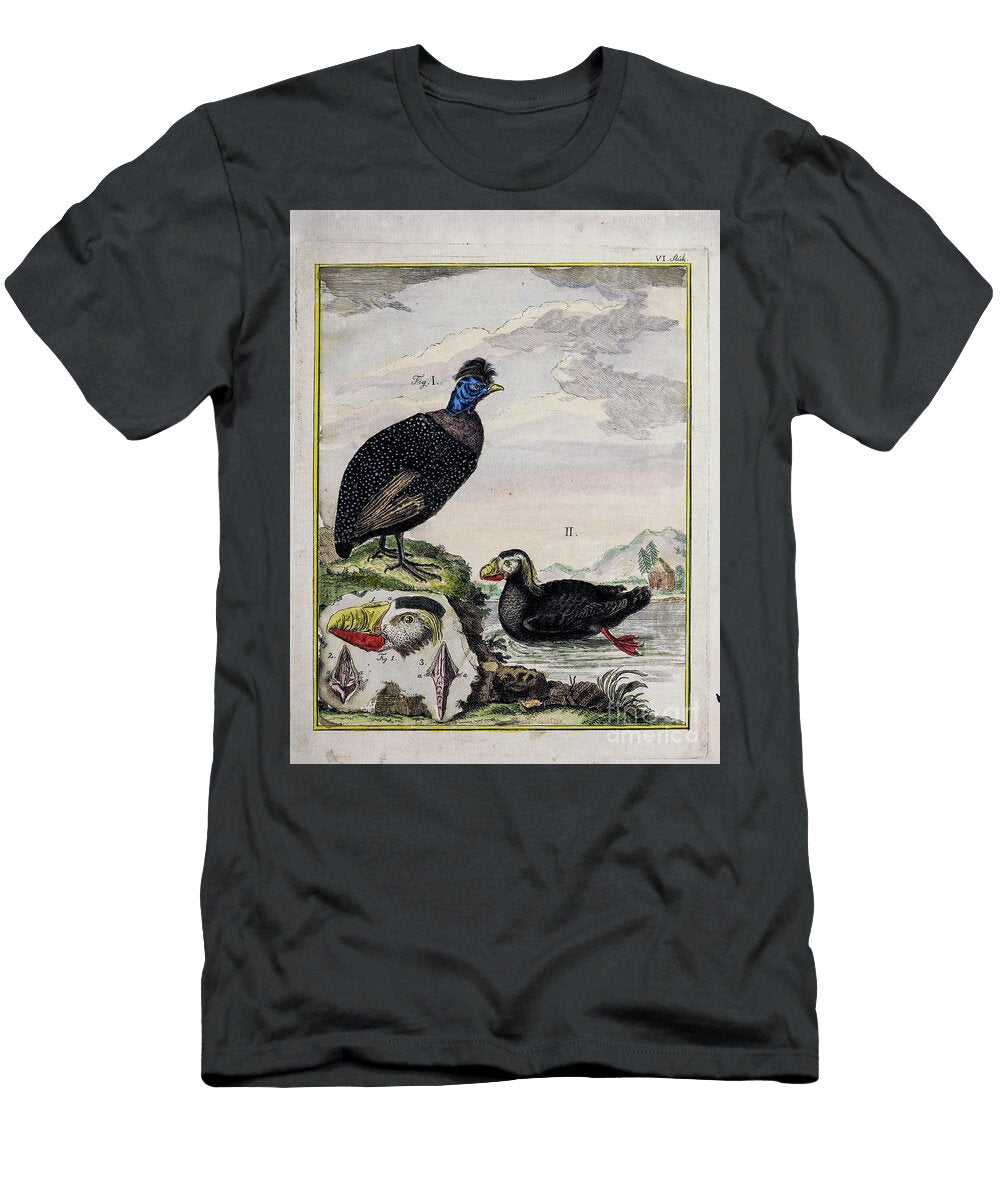 Ancient Painted Plate Water Fowl O1 Historic Illustrations T-Shirt