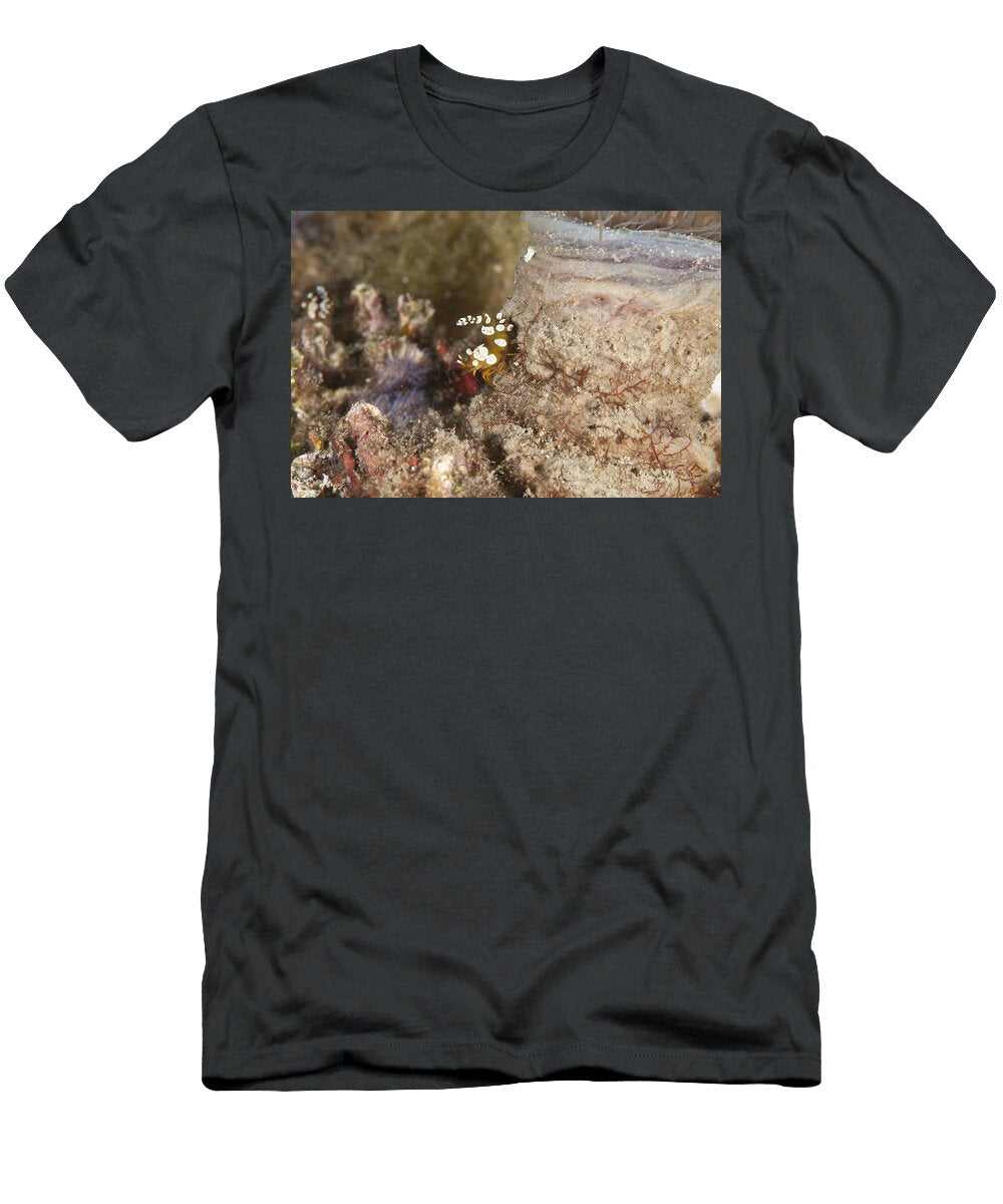 Anemone Shrimp Andrew J Martinez T-Shirt