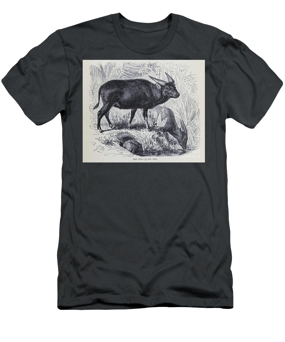 Anoa M3 Historic Illustrations T-Shirt