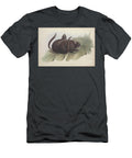 Anomalurus Fraseri Zoologia Typica Q1 Historic Illustrations T-Shirt