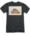 Antelope Kob Zoologia Typica Q1 Historic Illustrations T-Shirt